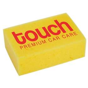 Sponges