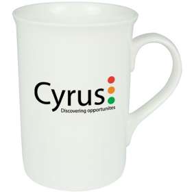 Windsor Bone China Mugs