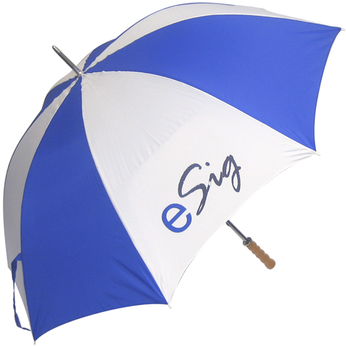 Budget golf discount coupon