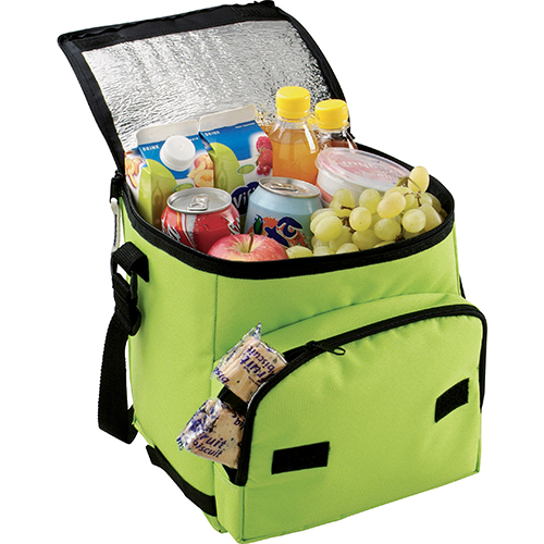 10L Foldable Cool Bags Printed Cooler Bags Promotional Merchandise